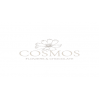 Cosmos Flowers Chocolate